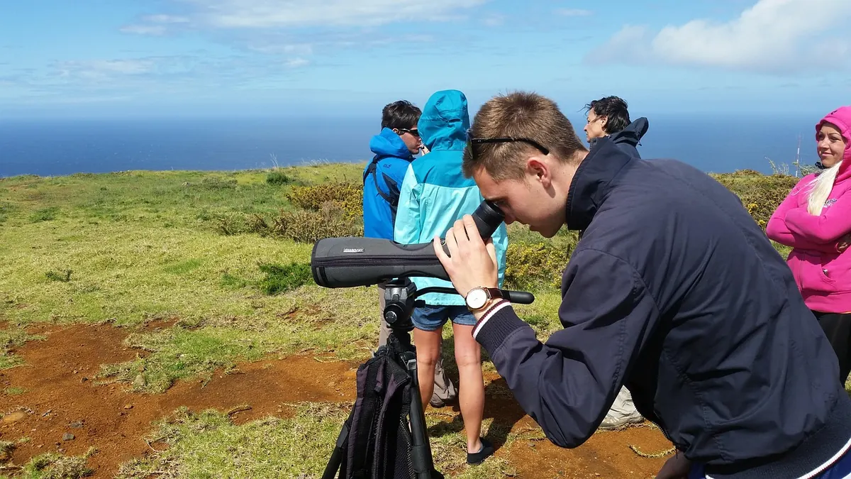 Beginner's Guide to Island Wildlife Spotting in Spring