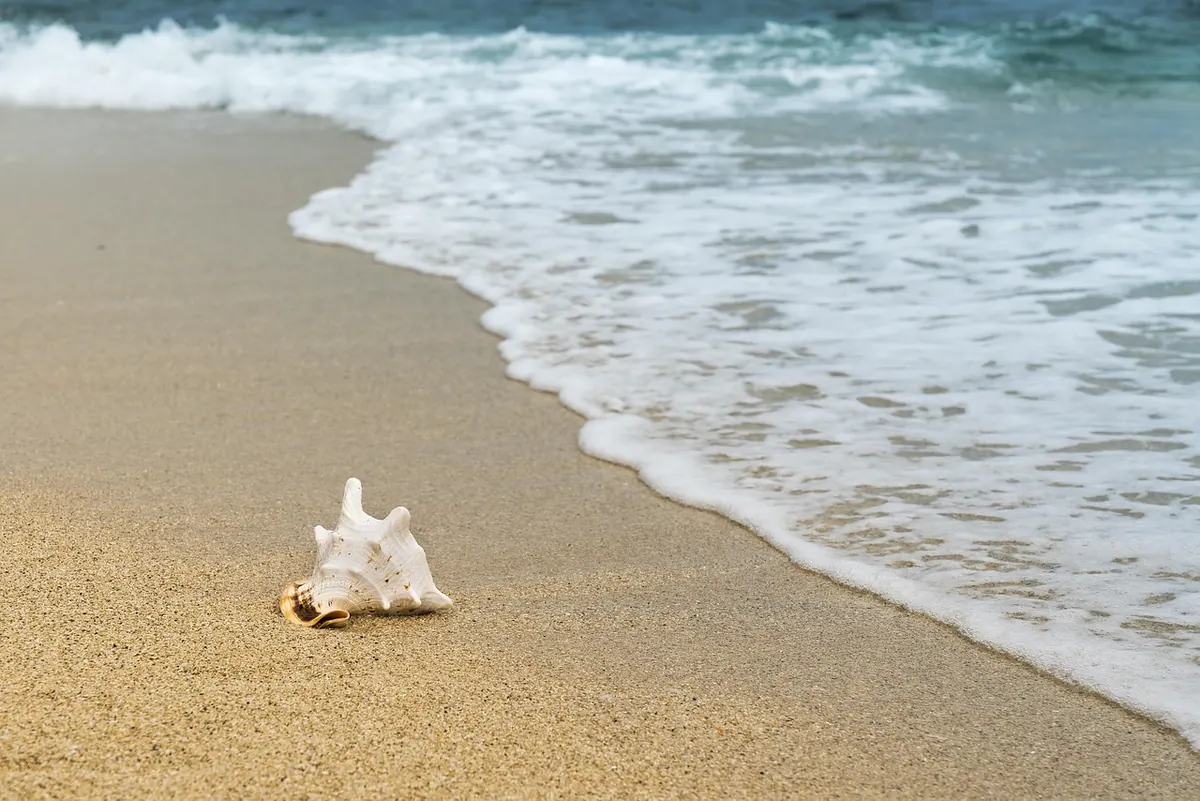 How Tides and Weather Affect Island Travel Plans: An Explainer